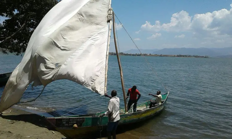 Awavuwi wagowa ku ensanyaata ni waema ku owuziwa.