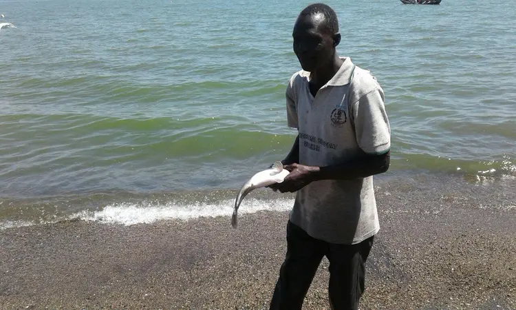 Omulala ku awavuwi na agingire emvwa mu amakono gaae.